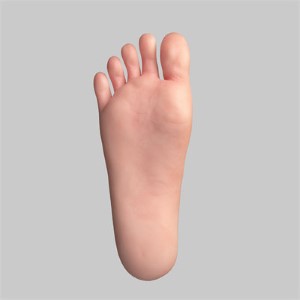 Bolt-Free Feet